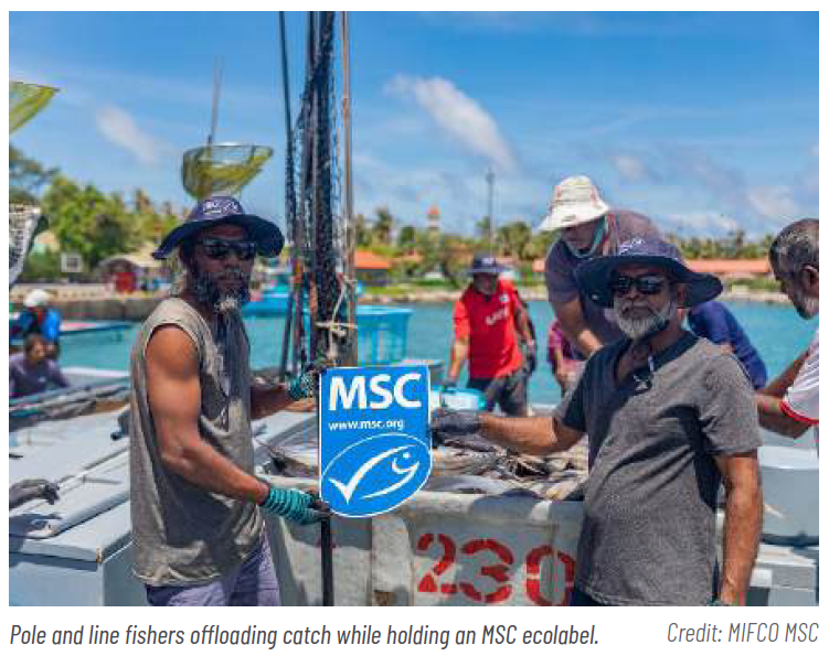 This image for Image Layouts addon