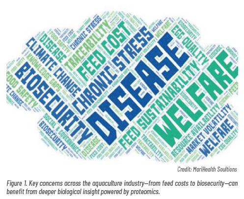 This image for Image Layouts addon