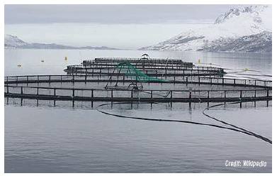 This image for Image Layouts addon