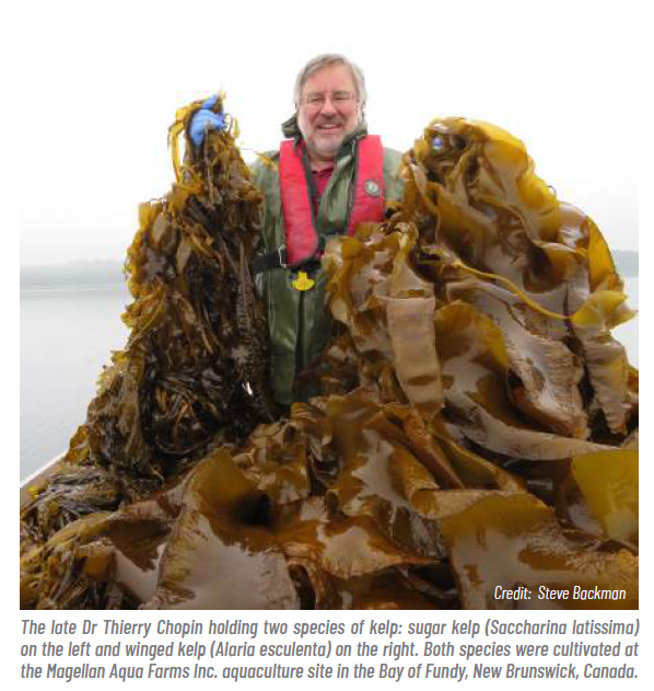 This image for Image Layouts addon