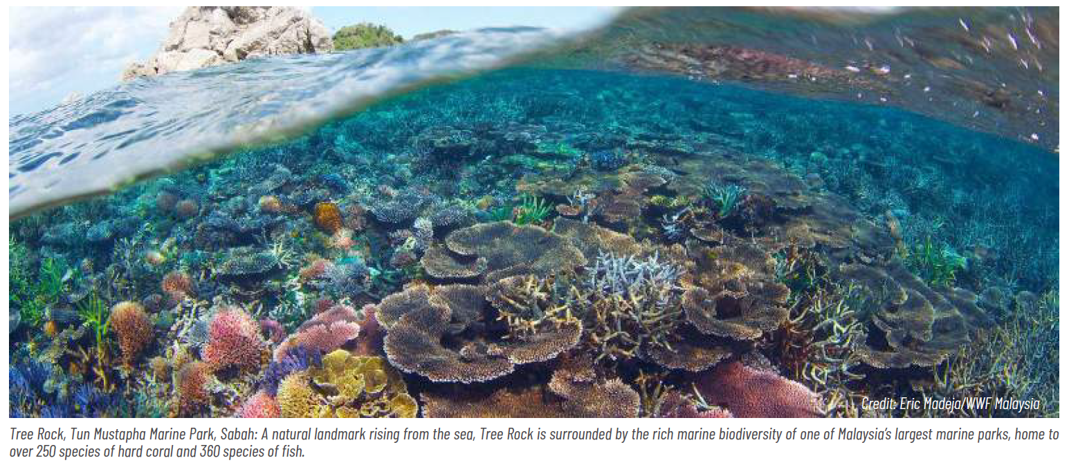 This image for Image Layouts addon