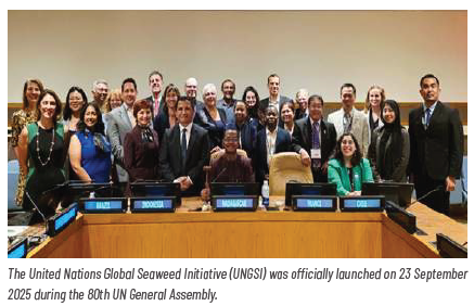 This image for Image Layouts addon