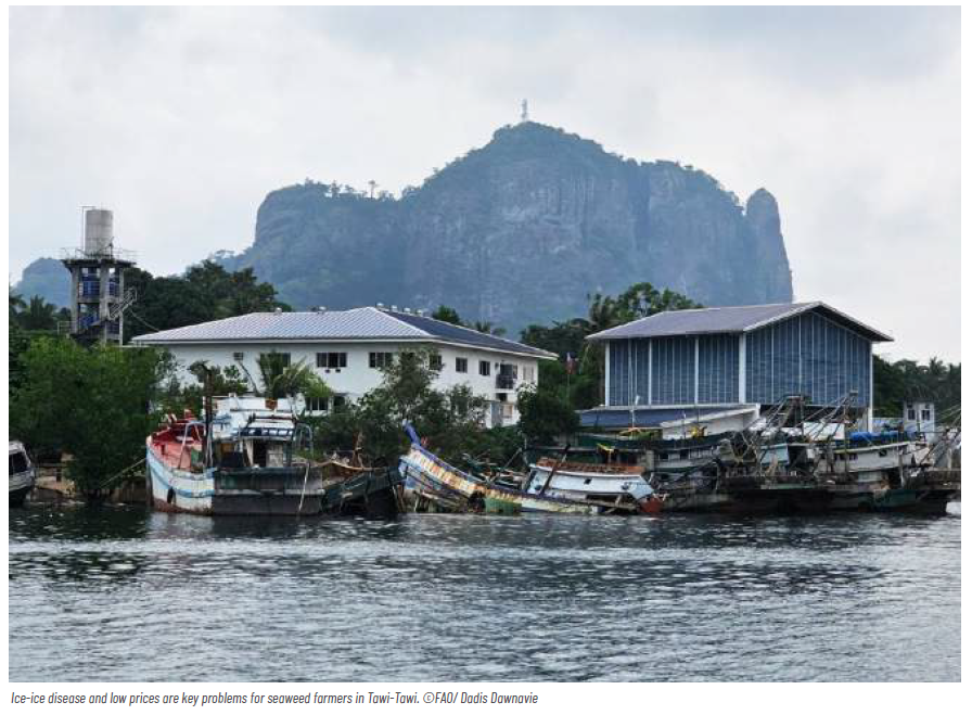 This image for Image Layouts addon