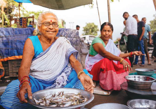 This image for Image Layouts addon