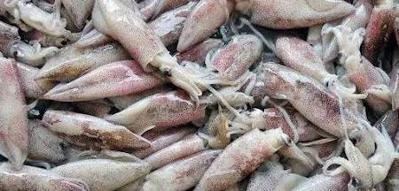 This image for Image Layouts addon