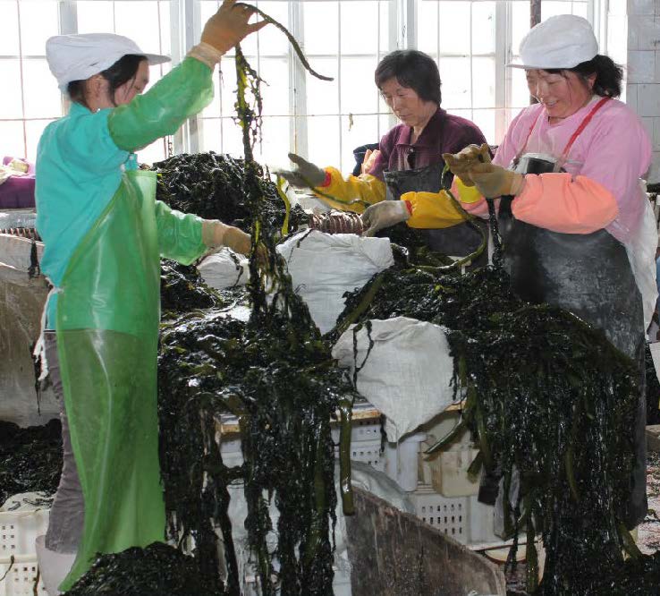 This image for Image Layouts addon