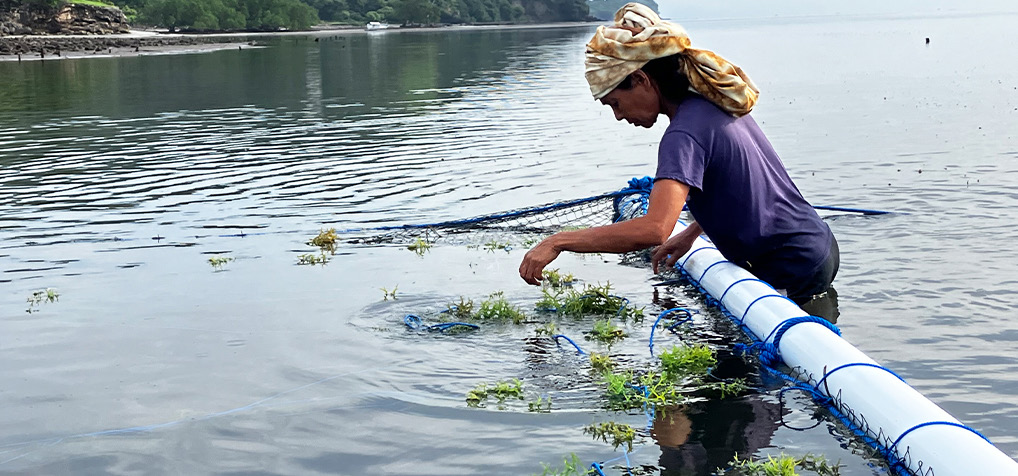 This image for Image Layouts addon