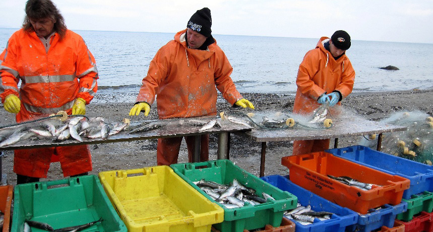 This image for Image Layouts addon