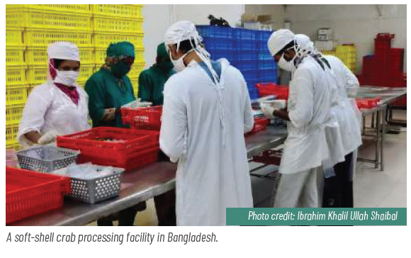 This image for Image Layouts addon