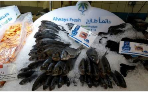 This image for Image Layouts addon