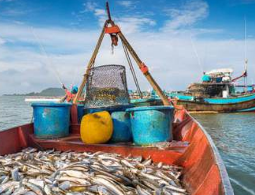 This image for Image Layouts addon