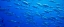Fiji: New fisheries policy prioritizes food security
